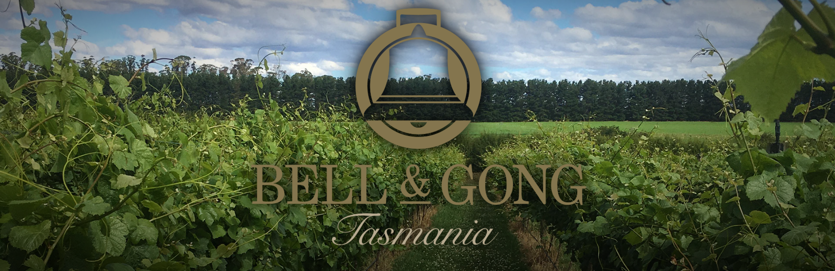 Bell & Gong Vineyard website
