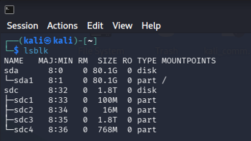 lsblk corrently identifies the drive in Kali terminal